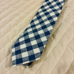 J. Crew Mens Blue and White Checkered Tie Cotton